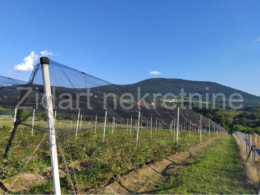Квартира, 861 м², 538 993$ — FAKTOR